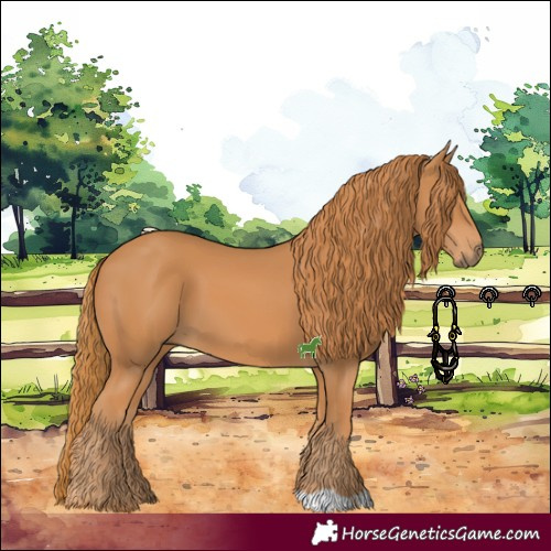 Horse Color:Chestnut 