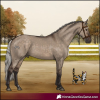 Horse Color:Silver Brown Dun 
