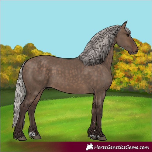 Horse Color:Silver Brown Dun