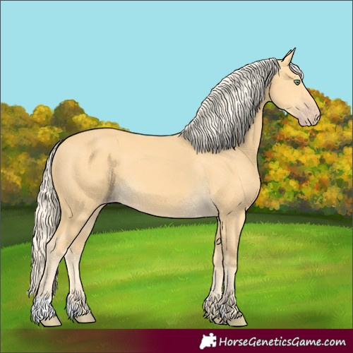 Horse Color:Gold Cream Champagne