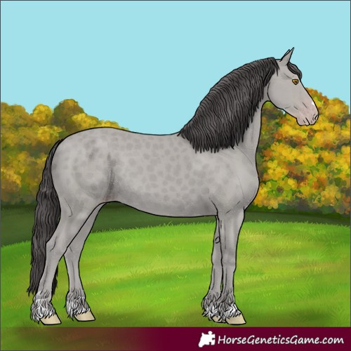 Horse Color:Classic Cream Champagne