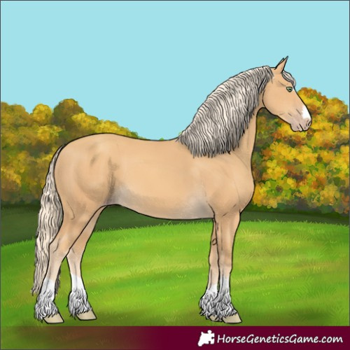 Horse Color:Gold Cream Champagne 