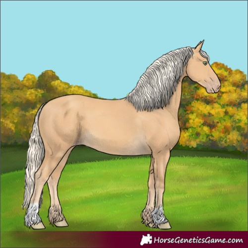Horse Color:Gold Cream Champagne