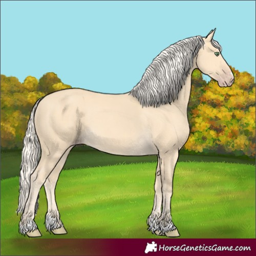 Horse Color:Gold Cream Champagne