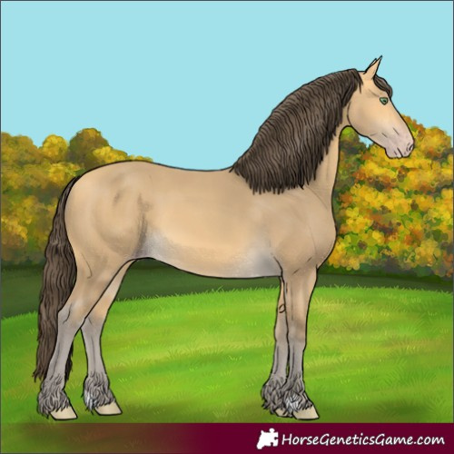 Horse Color:Amber Cream Champagne 