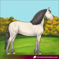 Horse Color:Amber Cream Champagne 