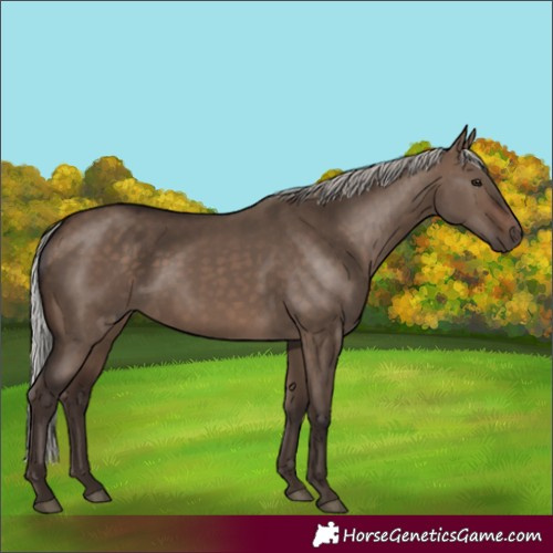Horse Color:Silver Brown Dun 