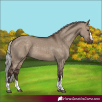 Horse Color:Silver Brown Dun