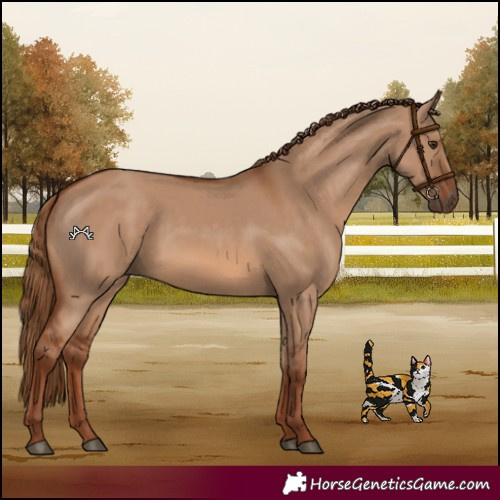 Horse Color:Red Dun