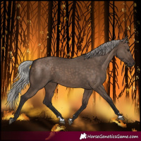 Horse Color:Silver Brown Dun 