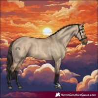 Horse Color:Bay Dun 