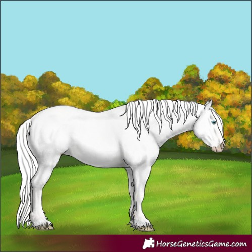 Horse Color:Silver Perlino Dun