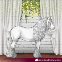 Horse Color:Silver Perlino Dun 