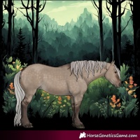Horse Color:Silver Brown Dun