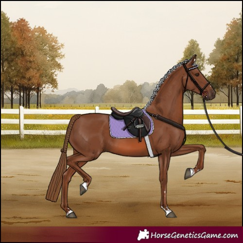 Horse Color:Chestnut 