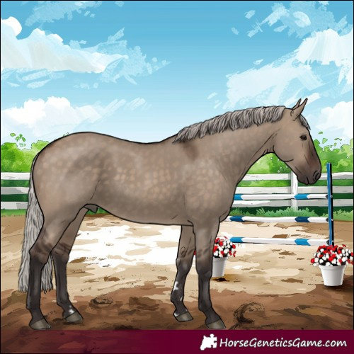 Horse Color:Silver Brown Dun