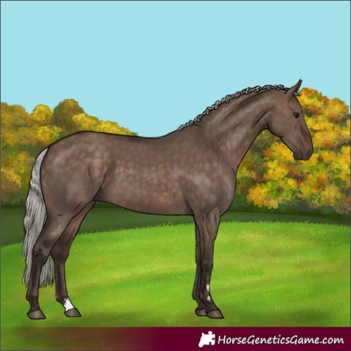 Horse Color:Silver Brown Dun 