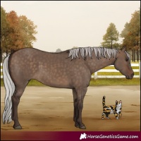 Horse Color:Silver Brown Dun