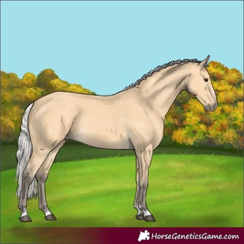 Horse Color:Silver Buckskin