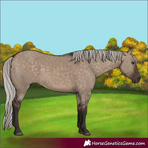 Horse Color:Silver Brown Dun