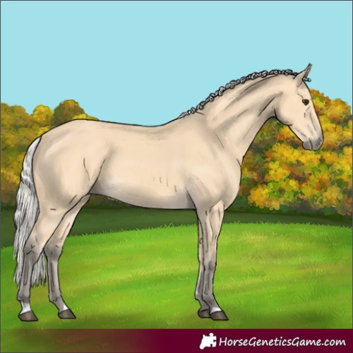 Horse Color:Silver Buckskin 