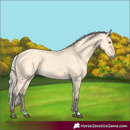 Horse Color:Silver Buckskin Dun 