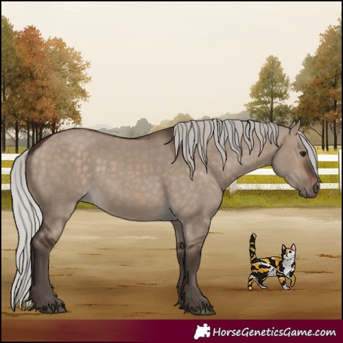 Horse Color:Silver Brown Dun