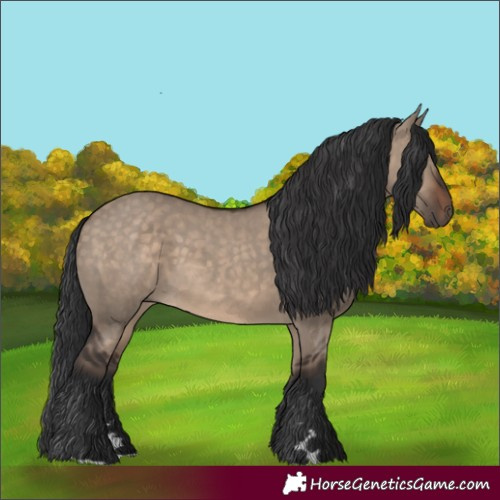 Horse Color:Brown Dun