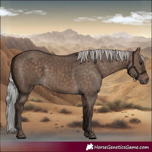 Horse Color:Silver Brown Dun