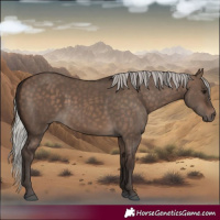 Horse Color:Silver Brown Dun
