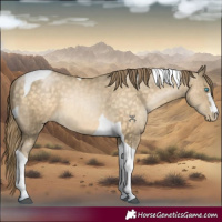 Horse Color:Buckskin Tobiano 
