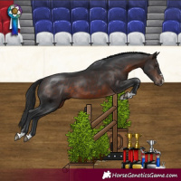 Horse Color:Brown 
