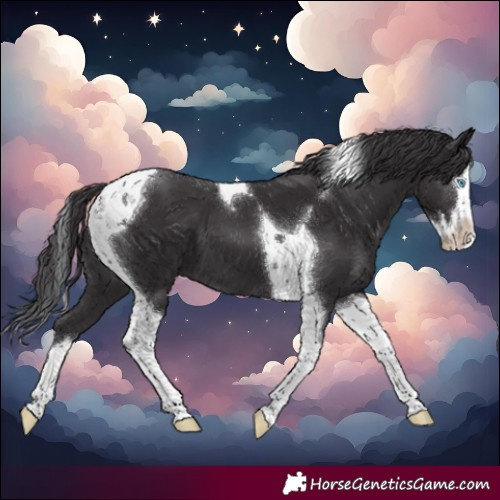Horse Color:Smoky Black Splash Tobiano 
