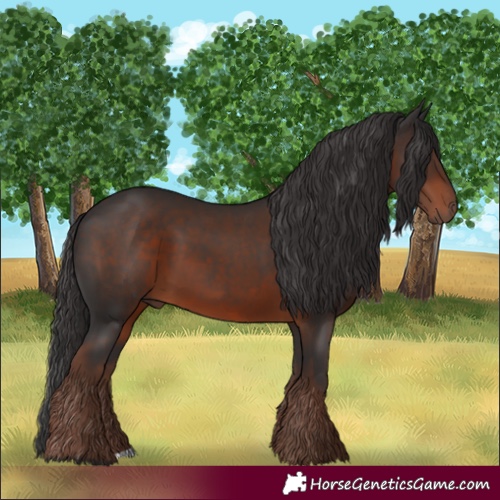 Horse Color:Liver Chestnut 