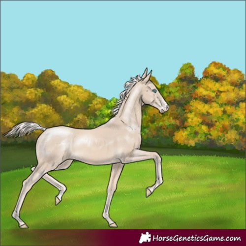 Horse Color:Cremello Sabino 