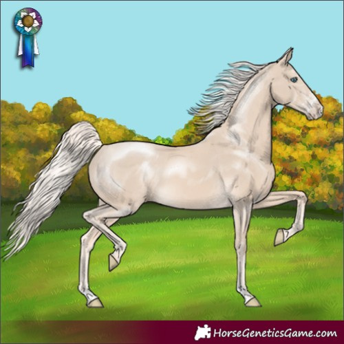 Horse Color:Cremello Sabino 