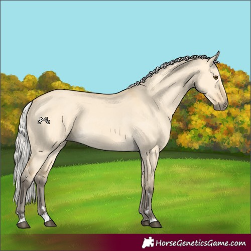 Horse Color:Silver Buckskin Dun