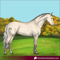 Horse Color:Silver Buckskin Dun 