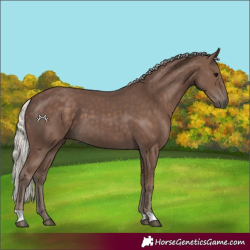 Horse Color:Silver Black 