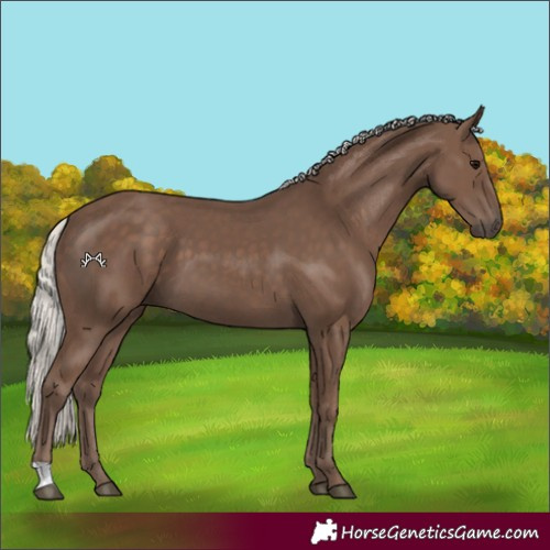 Horse Color:Silver Black