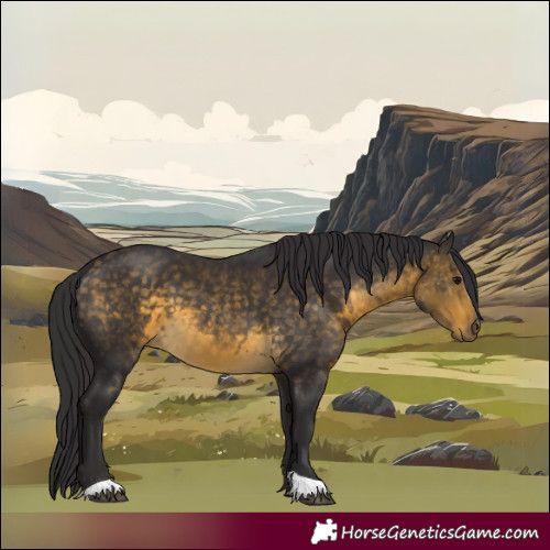 Horse Color:Buckskin 