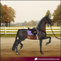 Horse Color:Brown 