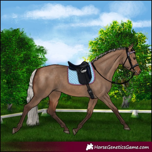 Horse Color:Silver Brown Dun