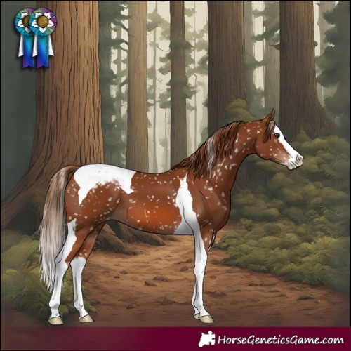Horse Color:Chestnut Splash Tobiano Snowcap 