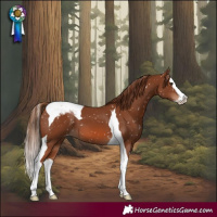 Horse Color:Chestnut Splash Tobiano Snowcap 