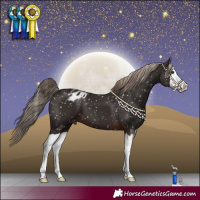 Horse Color:Liver Chestnut Splash Blanket 