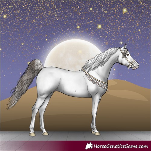 Horse Color:Liver Chestnut Splash Tobiano Fewspot