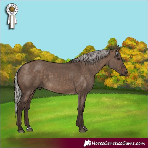 Horse Color:Silver Brown Dun
