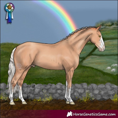 Horse Color:Silver Amber Champagne 