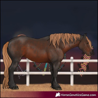 Horse Color:Liver Chestnut 